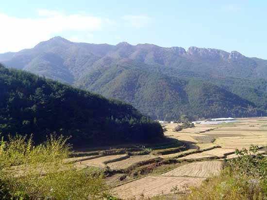 우리 마을 화순 북면 방리 양지마을에서 바라본 백아산. 움뿍 패인 곳 아래가 마당바위입니다. 우리 마을은 경지정리를 하지 않았습니다. 이제야 그 가치가 발휘될 모양입니다. 